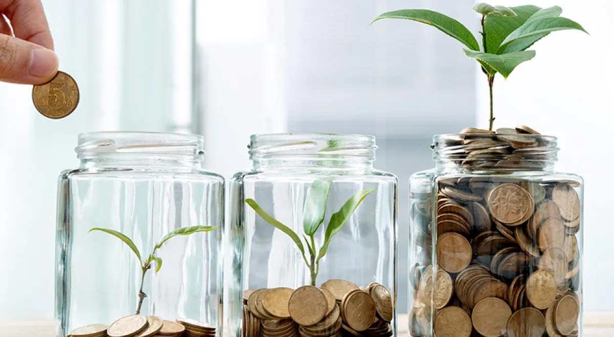 What Is Compound Interest? Simple Guide for Beginners (2026)