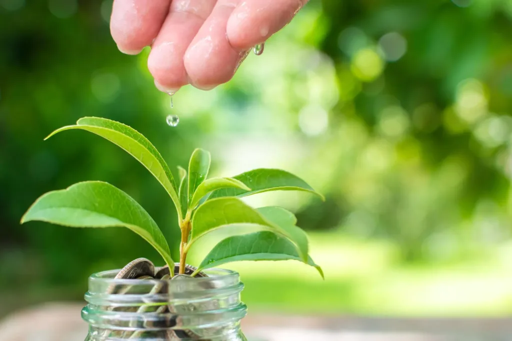 compound interest growth example